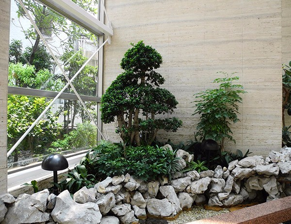 绿植租赁良好作用体现在哪些方面