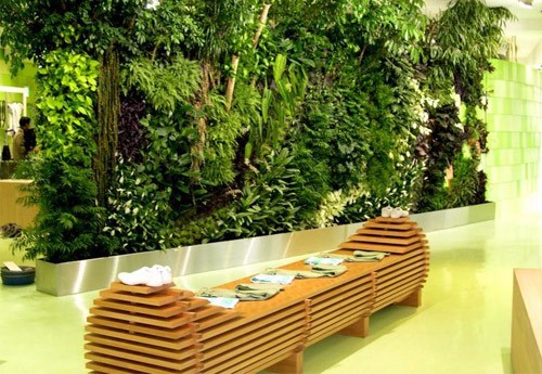 冬天到了，植物租摆来的花草可怎么过？