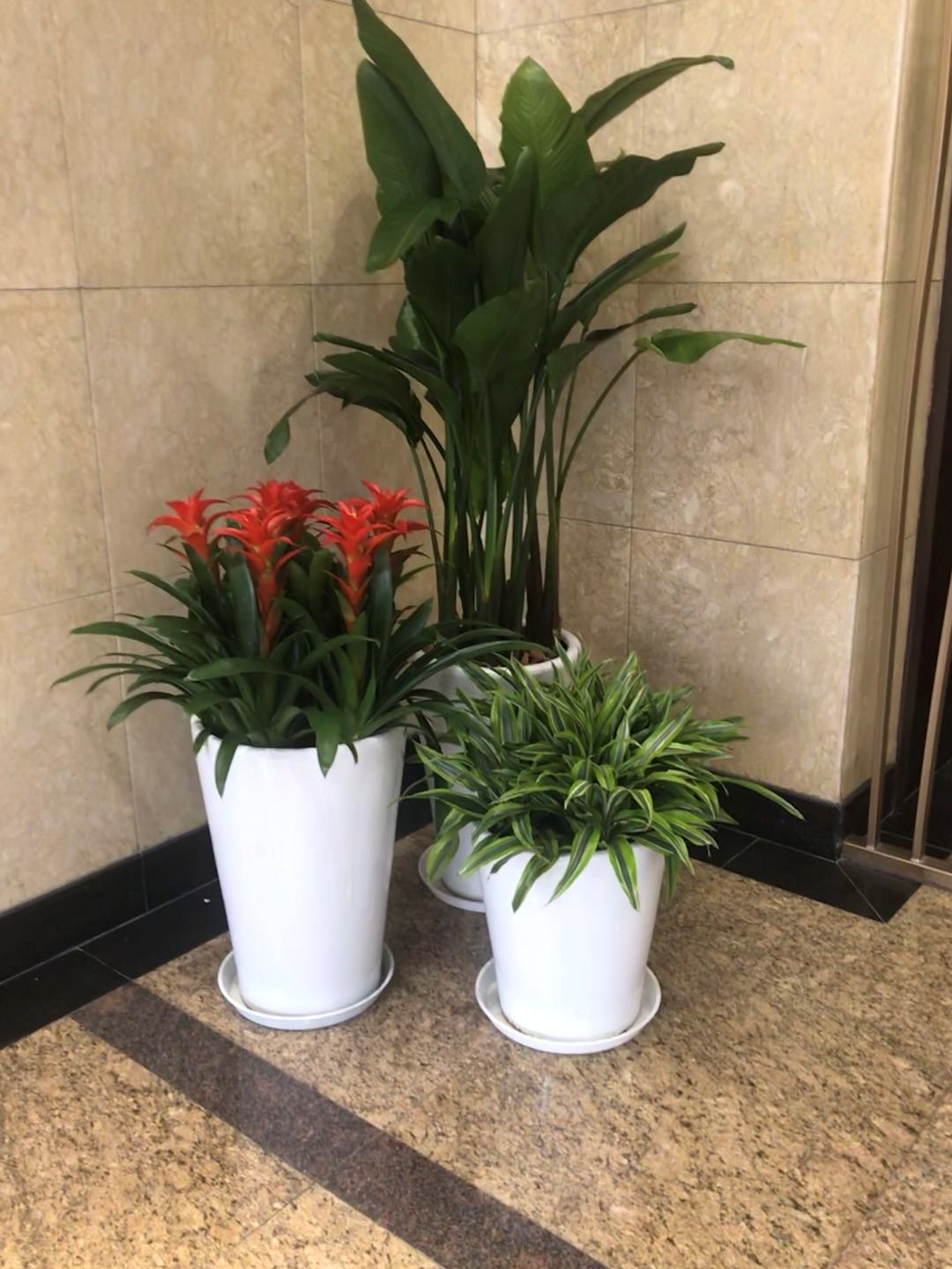 景观组合成功案例 景观组合成功案例